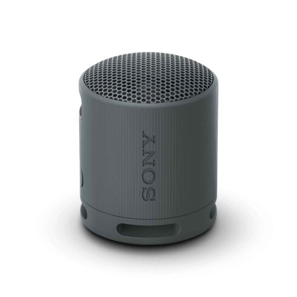 Sony Bluetooth Speaker SRS-XB100- Schwarz