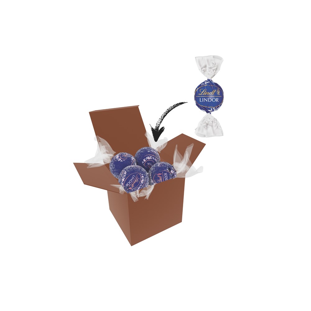 Color Lindor Box - Braun - blau