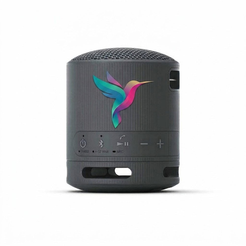Sony Bluetooth Speaker SRS-XB100- Schwarz