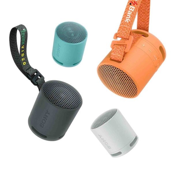 Sony Bluetooth Speaker SRS-XB100- Schwarz